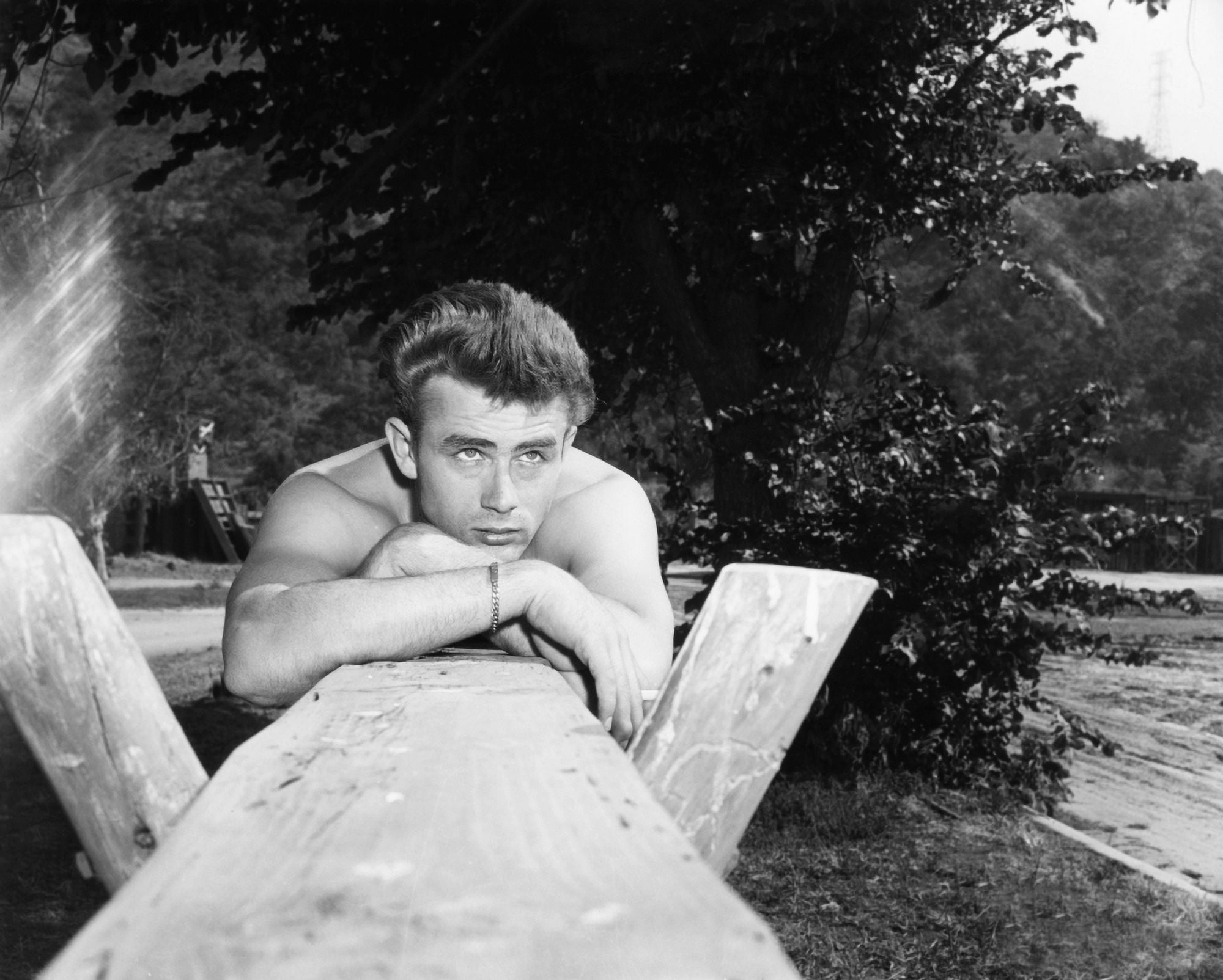 East Of Eden Canvas Art - (20 x 16)
