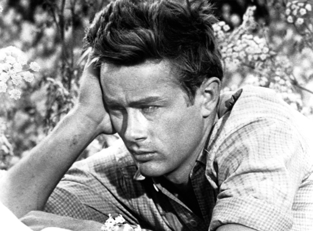 East Of Eden Canvas Art - (20 x 16)