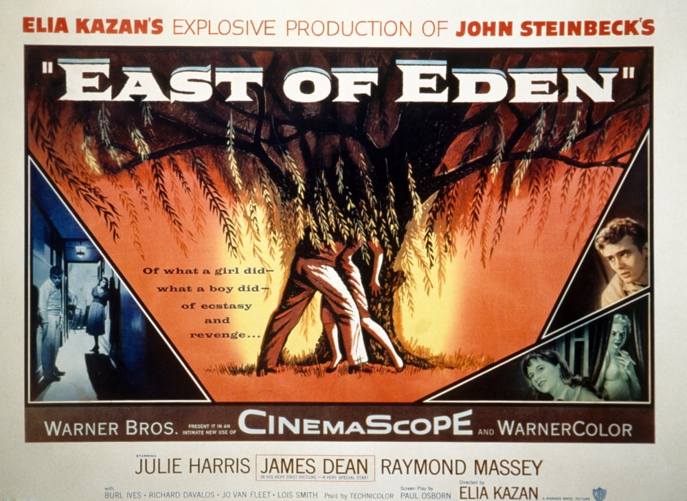 East Of Eden Canvas Art - (28 x 22)