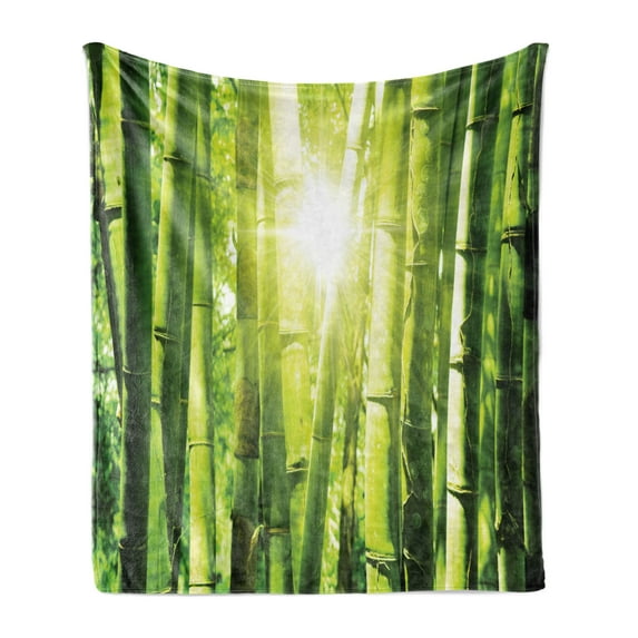 East Soft Flannel Fleece Throw Blanket, Bamboo Forest with Morning Sunlight Sun Beams Through Trees Jungle Scene, Cozy Plush for Indoor and Outdoor Use, 50" x 70", Lime Green Yellow, by Ambesonne