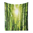 thumbnail image 1 of East Soft Flannel Fleece Throw Blanket, Bamboo Forest with Morning Sunlight Sun Beams Through Trees Jungle Scene, Cozy Plush for Indoor and Outdoor Use, 70" x 90", Lime Green Yellow, by Ambesonne, 1 of 5