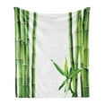 thumbnail image 1 of East Soft Flannel Fleece Throw Blanket, Branches of Bamboo Board Stalk Tropics Plants Greenery Fengshui Natural, Cozy Plush for Indoor and Outdoor Use, 50" x 70", Fern Green White, by Ambesonne, 1 of 5