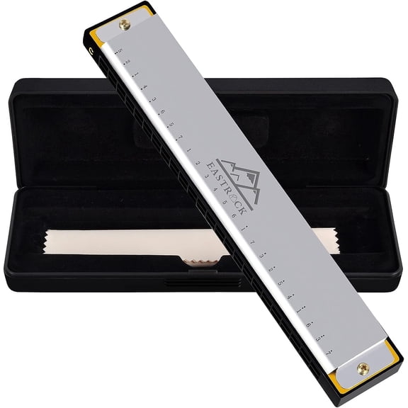 EASTROCK Harmonica Key of C 24 Holes Professional Mouth Organ for Blues Folk Jazz for Student Teacher Beginner Silver
