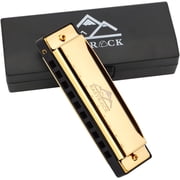 EASTROCK 10 Holes Key of C Blues Harmonica for Beginner Students Professional Metal Blues Harp Mouth Organ with Case Gold