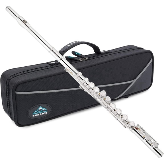 EASTROCK Closed Hole Nickel Plated Flute Soprano Recorder in C 16 with Professional Care Set for School Ensembles and Beginners Silver