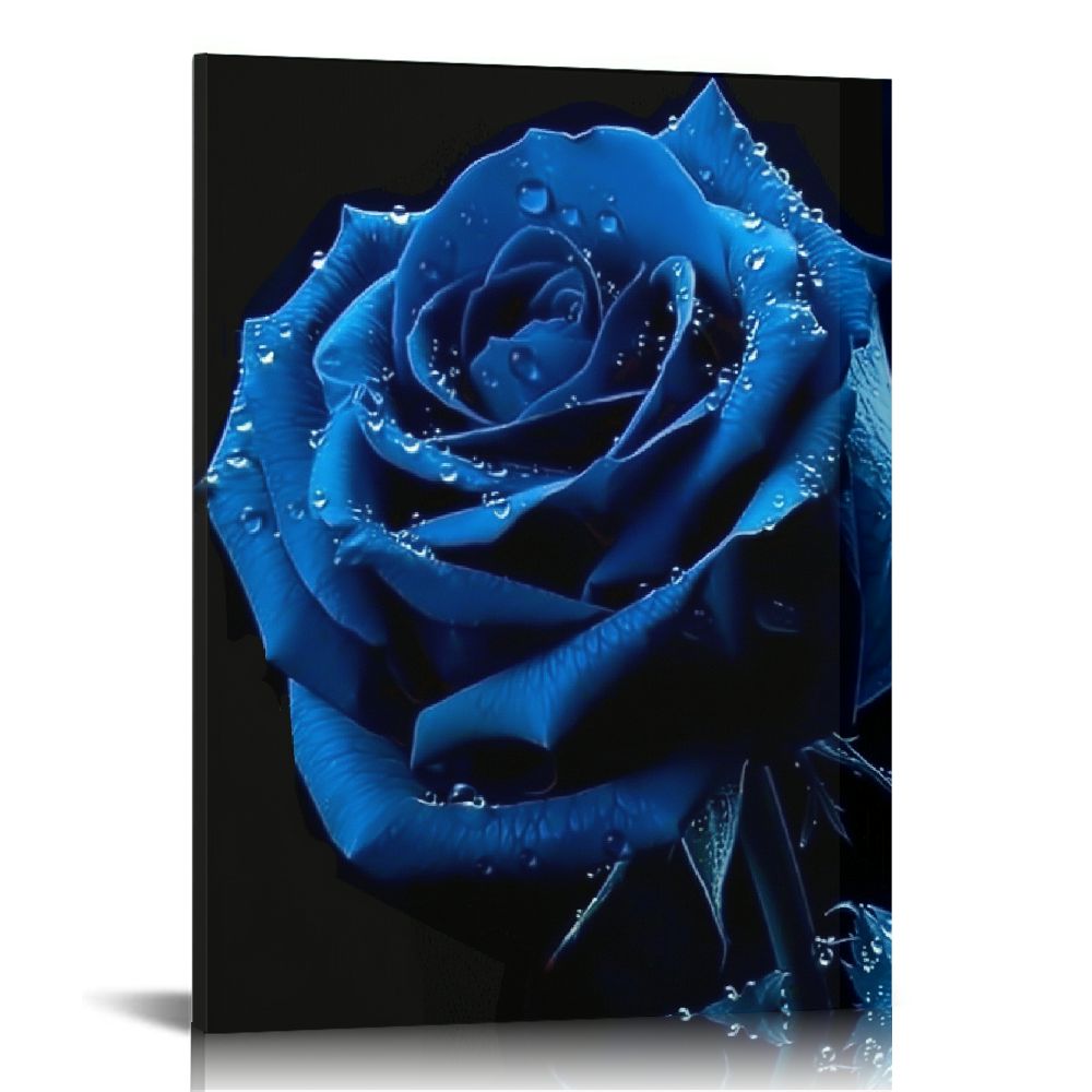 Lingy Blue Rose Wall Art,3 Piece Rose Flowers Blossom on the Black