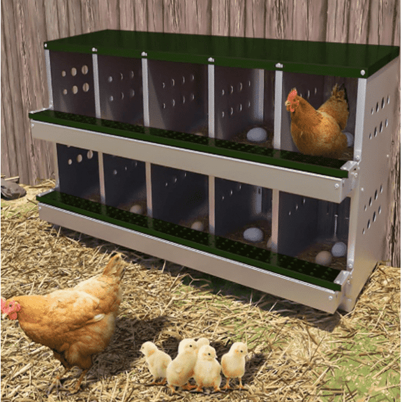 EastVita 10 Compartment Metal Chicken Nesting Box for Laying Eggs, Rustproof Wall-mountable Roll Away Chicken Laying Boxes