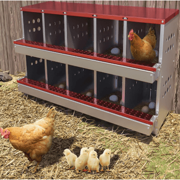 EastVita 10 Compartment Metal Chicken Nesting Box for Laying Eggs, Rustproof Wall-mountable Roll Away Chicken Laying Boxes