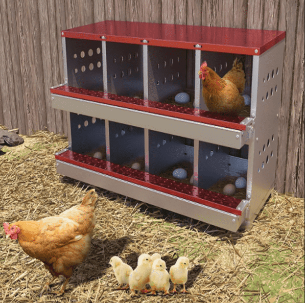 Metal Chicken Nesting Box Huloretions Chicken Nesting Box, Nesting ...