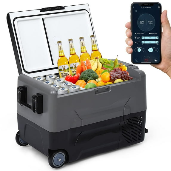 EastVita Car Refrigerator, Portable Freezer with 12/24V DC & 110-240V AC, RV Car Fridge Dual Zone APP Control, 58 Quart (55L) -4℉-68℉ Portable Refrigerator