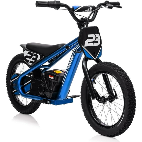 EastVita Kids Electric Dirt Bike, 16 Inch Electric Balance Bike for Ages 6-12, 250W Electric Motorcycle, 24V Detachable Battery, Up to 15.53MPH & 3 Speed Settings, Off-Road Tires blue