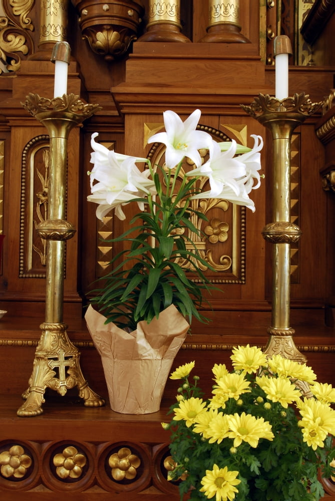 Easter Altar Canvas Art - Doug Ohman (18 x 27)