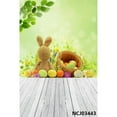 thumbnail image 1 of Easter Backdrops Spring Scenery Flowers Bunny Rabbit Easter Eggs Baby Portrait Newborn Photography Backgrounds Photozone, 1 of 4
