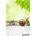 thumbnail image 1 of Easter Backdrops Spring Scenery Flowers Bunny Rabbit Easter Eggs Baby Portrait Newborn Photography Backgrounds Photozone, 1 of 4