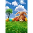 thumbnail image 1 of Easter Backdrops Spring Scenery Flowers Bunny Rabbit Easter Eggs Baby Portrait Newborn Photography Backgrounds Photozone, 1 of 4