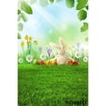 thumbnail image 1 of Easter Backdrops Spring Scenery Flowers Bunny Rabbit Easter Eggs Baby Portrait Newborn Photography Backgrounds Photozone, 1 of 4