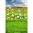 thumbnail image 1 of Easter Backdrops Spring Scenery Flowers Bunny Rabbit Easter Eggs Baby Portrait Newborn Photography Backgrounds Photozone, 1 of 4