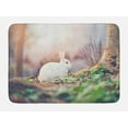 thumbnail image 1 of Easter Bunny Bath Mat, Photography of White Rabbit in Forest Spring Themed Sunshine Green Grass, Plush Bathroom Decor Mat with Non Slip Backing, 29.5" X 17.5", Multicolor, by Ambesonne, 1 of 2
