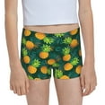 Easygdp Pineapples with Palm Leaves Girls Hipster Cotton Underwear