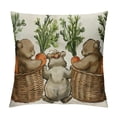 thumbnail image 1 of Easter Bunny Carrot Throw Pillow Cover,  Basket Rabbit Cushion Case Decoration for Sofa Couch, 1 of 5