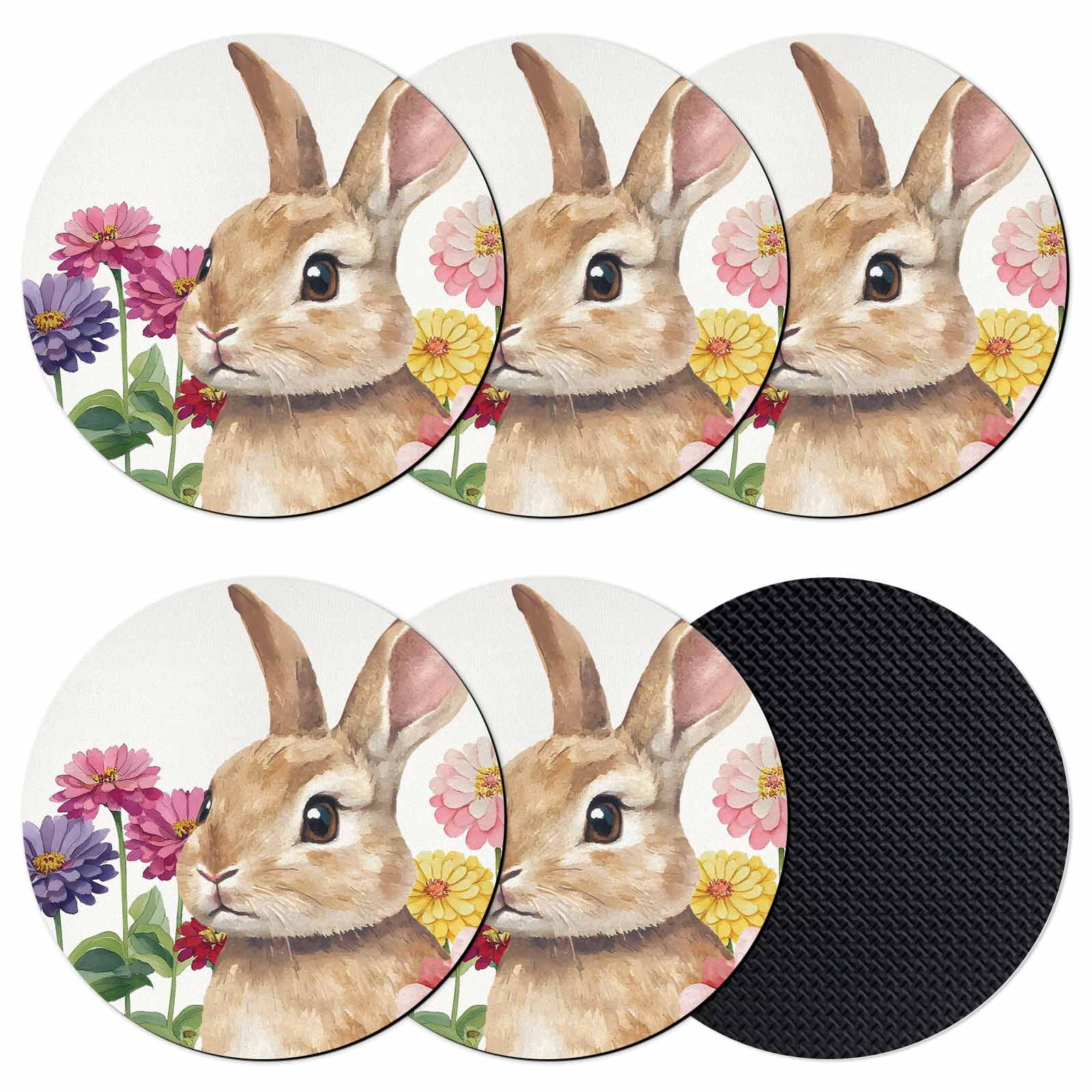 Easter Bunny Coasters Set of 6, Absorbent Coasters for Drinks, Spring ...