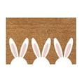 thumbnail image 1 of Easter Bunny Doormat Coir Welcome Door Mat Easter Indoor Outdoor Decor Bunny Entrance Decoration Spring Colorful Non Slip Door Rugs for Front Easy Clean Entryway 23.62"X15.75", 1 of 3