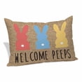 thumbnail image 1 of Easter Bunny Pillow Covers, Linen Long Throw Pillow Case, Spring Modern Colorful Bunnies Brown Holiday Pillow Protector Decorative Cushion Cover for Living Room/Bedroom 12" x 20", 1 of 8