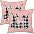 thumbnail image 1 of Easter Bunny Pink Pillow Covers 18x18 Inch Set of 2 Black and White Buffalo Plaid Rabbit Family Easter Decorations Throw Pillow Covers Spring Farmhouse Outdoor Home Decor Cushion Case for Sofa Couch, 1 of 5