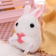 thumbnail image 1 of Easter Bunny Plush, 5 Inch Small Rabbit Stuffed Animals, Soft Plush Doll for Easter Basket Stuffers, Spring Home Decor for Mantle Shelf, Easter Gifts for Kids Easter Decorations, 1 of 4
