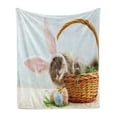 thumbnail image 1 of Easter Bunny Soft Flannel Fleece Throw Blanket, Fluffy Cat with Pink Rabbit Ears in Easter Basket with Dyed Eggs, Cozy Plush for Indoor and Outdoor Use, 50" x 60", Multicolor, by Ambesonne, 1 of 5
