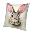 thumbnail image 1 of Easter Bunny Throw Pillow Cover Cute Rabbit Pillowcase Cushion Cover Spring Home Decoration Cotton 18 x 18 Inch, 1 of 5