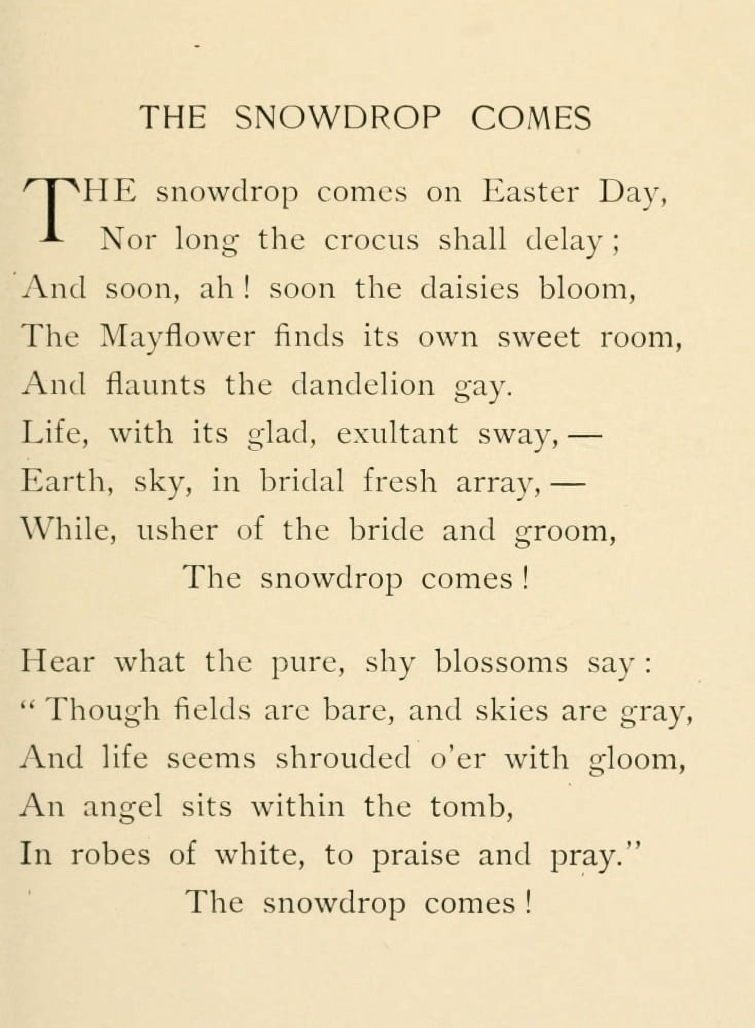 Easter Carols 1888 The Snowdrops come Canvas Art - Louisa Parsons Hopkins (24 x 36)