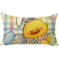 thumbnail image 1 of Easter Chick Eggs Lumbar Decorative Throw Pillow Cover 12 x 20, Chicken Bunny Ears Colorful Plaid Check Rectangle Cushion Case Decor, Flowers Butterfly Farmhouse Home Decoration for Sofa Couch, 1 of 5