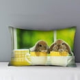 thumbnail image 1 of Easter Clearance 2024! CWCWFHZH Easter Rectangle Case Bedroom Sofa Home Decoration Case, 1 of 3