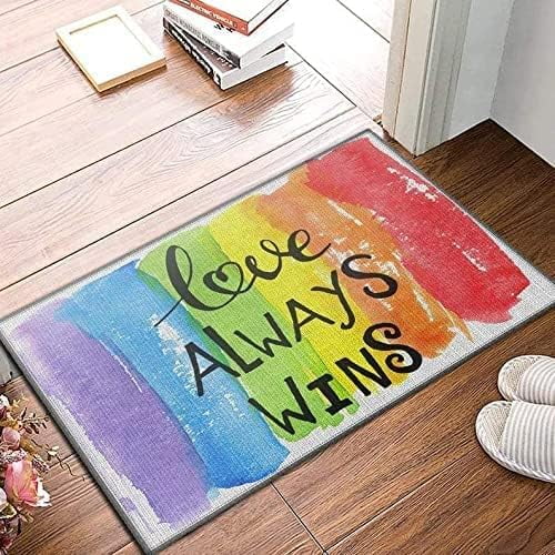 Dog When Visiting My House Please Remember Dog Door Mat Indoor Mat Entryway Rug Doormats Non Slip Inside Mat for Entry Entrance Mud Room Dog Rug Gift for Women Men 18x30 Inch