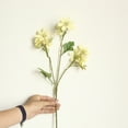 thumbnail image 1 of Easter Decor Artificial Vanilla Cuttings Five Petal Flowers Three Clusters Cream Center Light Green Stems Festive Display Easter Decorations, 1 of 2