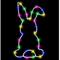 thumbnail image 1 of Easter Decor​ LED Rabbit Silhouette Outline Sweet Color Lights Festive Holiday Wall Window Hanging, Modern Easter Home Accent, 1 of 1