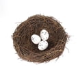 thumbnail image 1 of Easter Decor Set: Realistic Woven Rattan Bird Nest with Painted Ceramic Eggs – Spring Holiday Tabletop & Nesting Display (4.7 in), 1 of 5