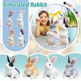 thumbnail image 1 of Easter Decorations Bunny Plush Toy , 9.45" Black Sitting Bunny Stuffed Animal , Soft Cuddly Easter Decoration and Gift for and Collectors Black, 1Pcs, 1 of 6