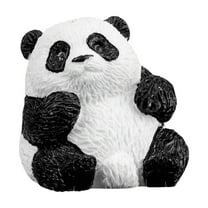 6 Pcs Brazilian Wood Plant,Brazilian Lucky Tree, Fortune Brazilian Lucky Wood Plant, Mini Brazil Wood for Desktop Decoration, with Plastic Tray (6 Pack)