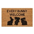 thumbnail image 1 of Easter Decorations Easter Mats Holiday Mats Welcome Door Mats Polyester Door Mats Carpet, 1 of 5