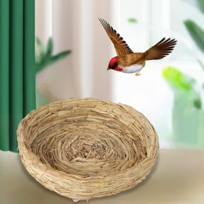 Easter Decorations , Simulation Bird Ornament 20cm Beige for Anthesis Ramulus Display Natural Agrestis Cartouche Donative
