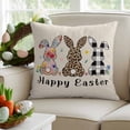 thumbnail image 1 of Easter Decorative Throw Pillow Covers 20x20 Inch Set of 2 Easter Bunny Home Decor Pillow Cases for Couch, Cute Rabbit Leopard Stripe Spring Flowers Cushion Case for Living Room Bedroom Bed Car Chair, 1 of 9