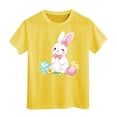 thumbnail image 1 of Easter Egg Bunny Graphic Tee for Toddler Kids Holiday Celebration Shirt Size:10-11 Years, 1 of 3