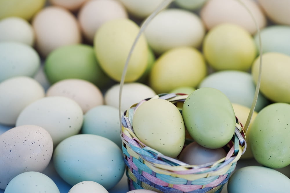 Easter Eggs And Basket Canvas Art - Darren Greenwood  Design Pics (36 x 24)