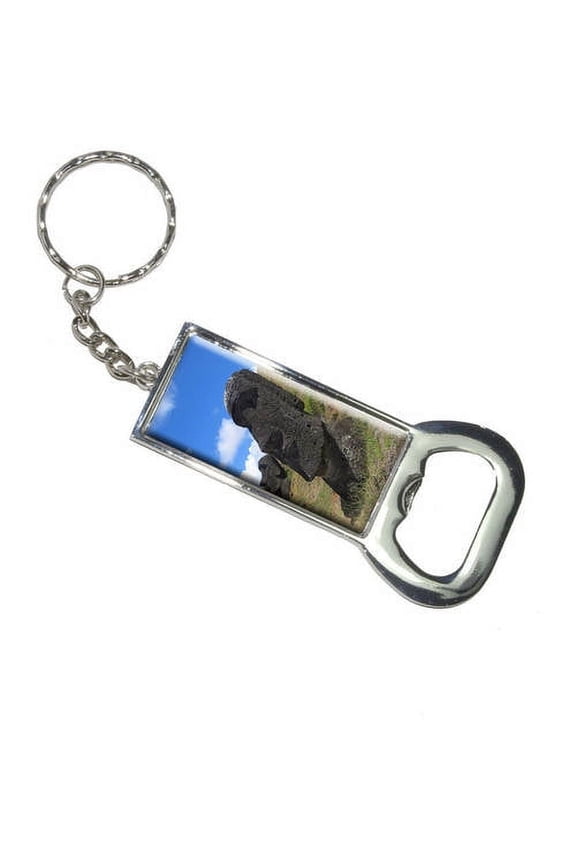 Easter Island Statues Keychain Bottle Bottlecap Opener