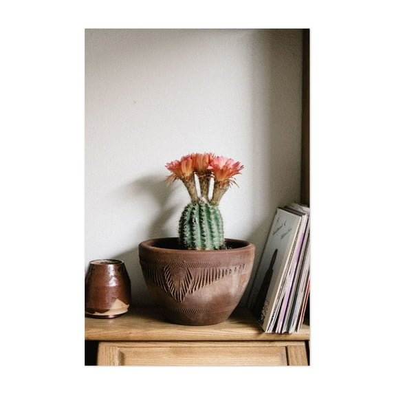Easter Lily Cactus - Visalia California Photography Cactus Botanical Flowers Rustic Desert Minimalist Vintage Unframed Wall Art Print 40 x 60 inches