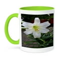 thumbnail image 1 of 3dRose, Easter Lily Flower - Photography Flowers, 15oz Two-Tone Green Mug, 1 of 7