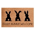 thumbnail image 1 of Easter Mats Holiday Mats Welcome Door Mats Polyester Door Mats Home Textile Necessities H(Clearance), 1 of 5