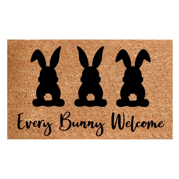 Easter Mats Holiday Mats Welcome Door Mats Polyester Non Slip Indoor Outdoor Use Front Porch Entryway Home Decor Gift for Easter Season Celebration